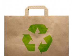 Paper shopping eco bag