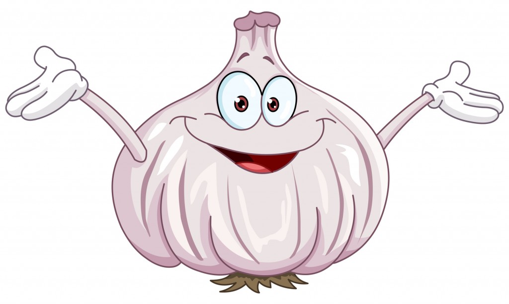 Garlic cartoon