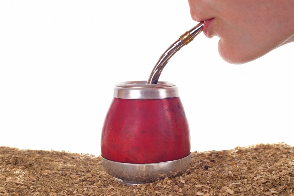 Yerba mate