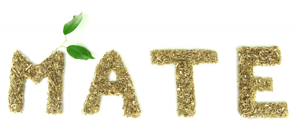 Dry mate tea, isolated on white