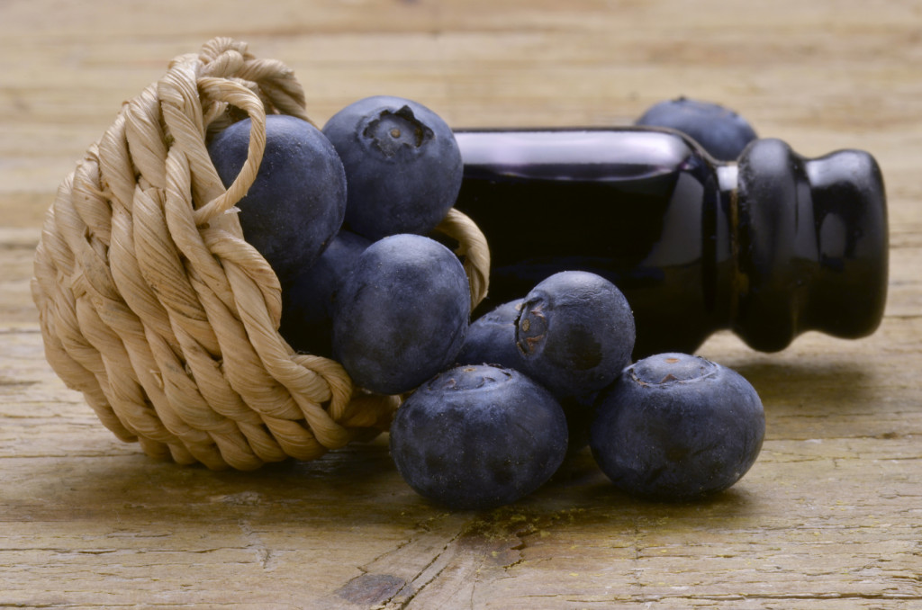 Vaccinium Airelle Вакциниум Borówka Heidelbeeren