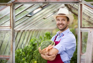 jak założyć własną szklarnię 
