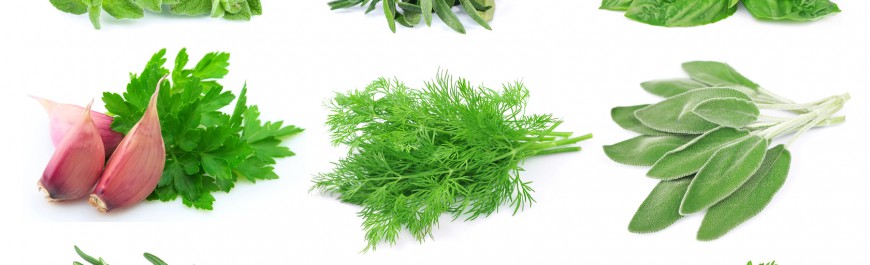 Set from green spice
