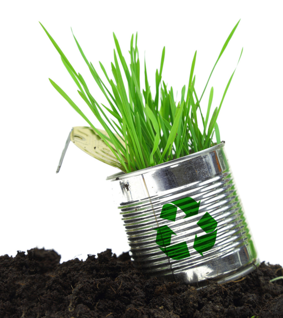 Can with recycle sign and growing grass on soil