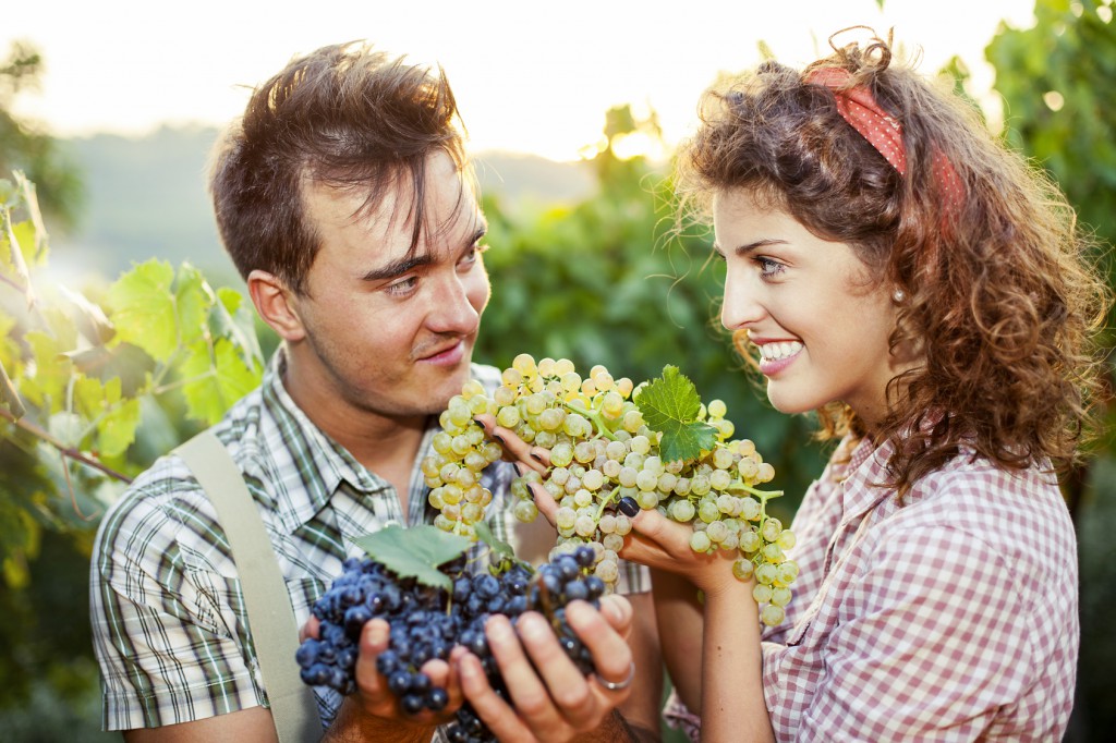 farmers showing grapes