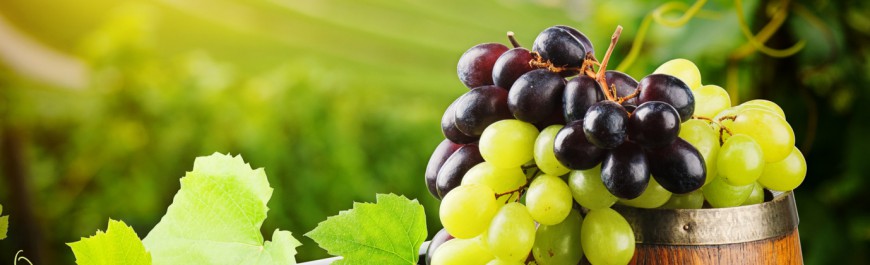 Bottles of red and white wine with fresh grape
