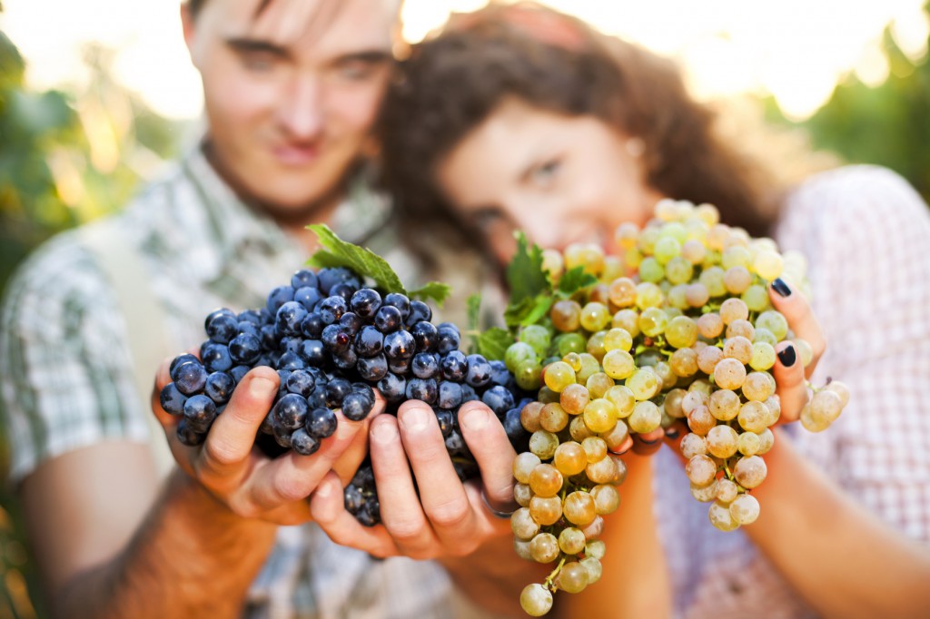 farmers showing grapes