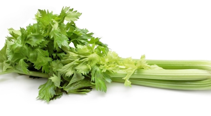 Kopia Kopia Bez tytułu