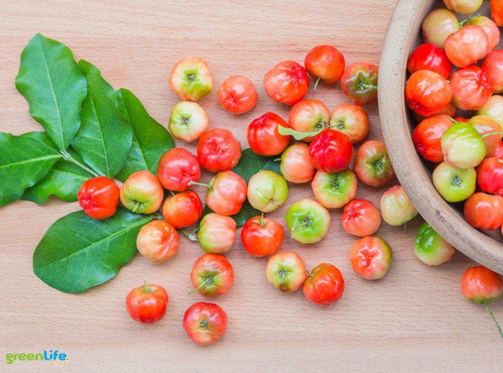 greenlife-acerola
