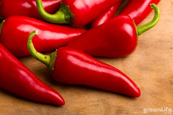 greenlife-papryczka-cayenne