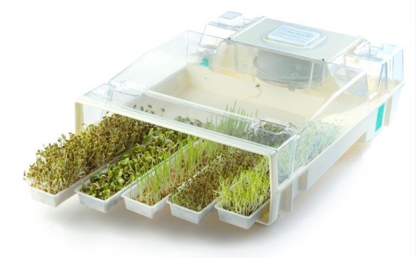 automatyczna kiełkownica