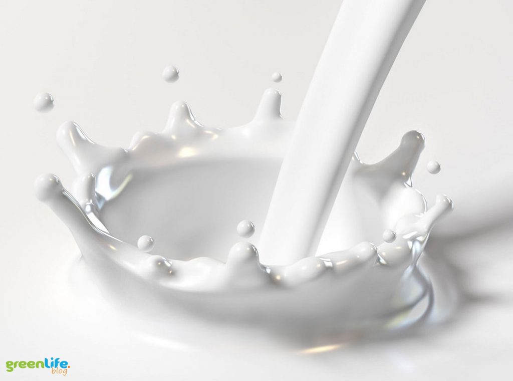 mleko-krowie-greenlife