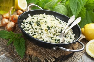 przepisy z pokrzywy risotto