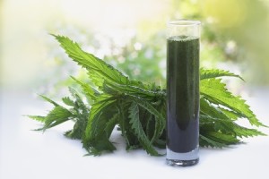 pokrzywowe smoothie