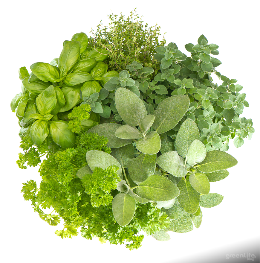 żywność funkcjonalna