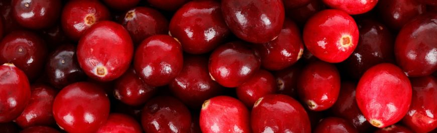 żurawina właściwości