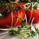 Kiełki – gdzie kupić nasiona?