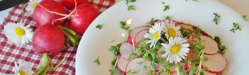 rzodkiewka na kanapce